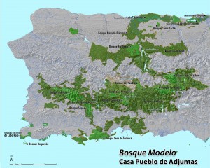mapa bosque modelo
